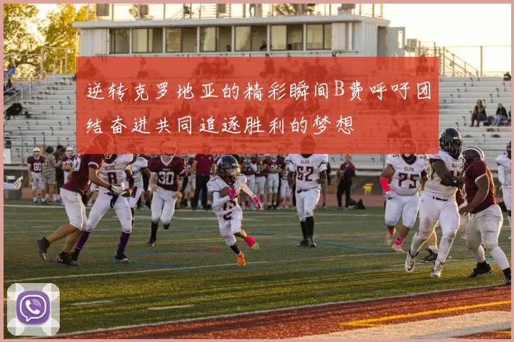 逆转克罗地亚的精彩瞬间B费呼吁团结奋进共同追逐胜利的梦想