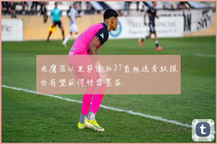 老鹰若以里萨谢和27首轮选秀权报价有望获得特雷墨菲